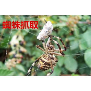 淺談企業(yè)對(duì)于營(yíng)銷(xiāo)型網(wǎng)站建設(shè)存在的四個(gè)誤解